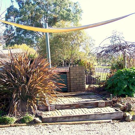 Bogong Moth Motel Mount Beauty Bagian luar foto