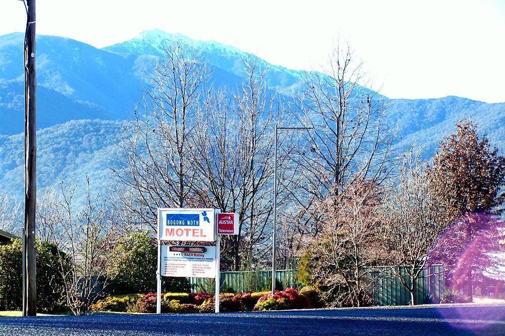 Bogong Moth Motel Mount Beauty Bagian luar foto