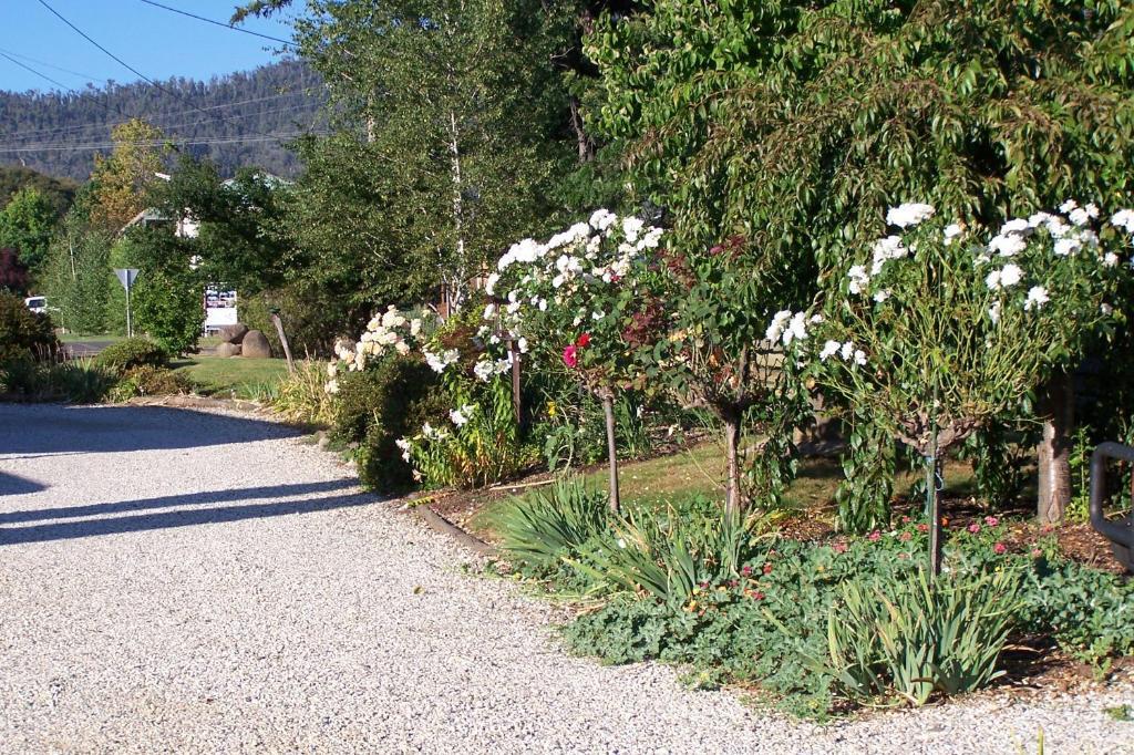 Bogong Moth Motel Mount Beauty Bagian luar foto
