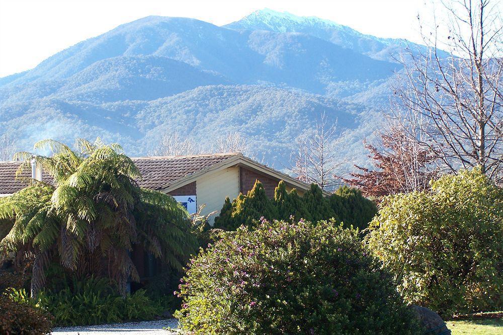 Bogong Moth Motel Mount Beauty Bagian luar foto
