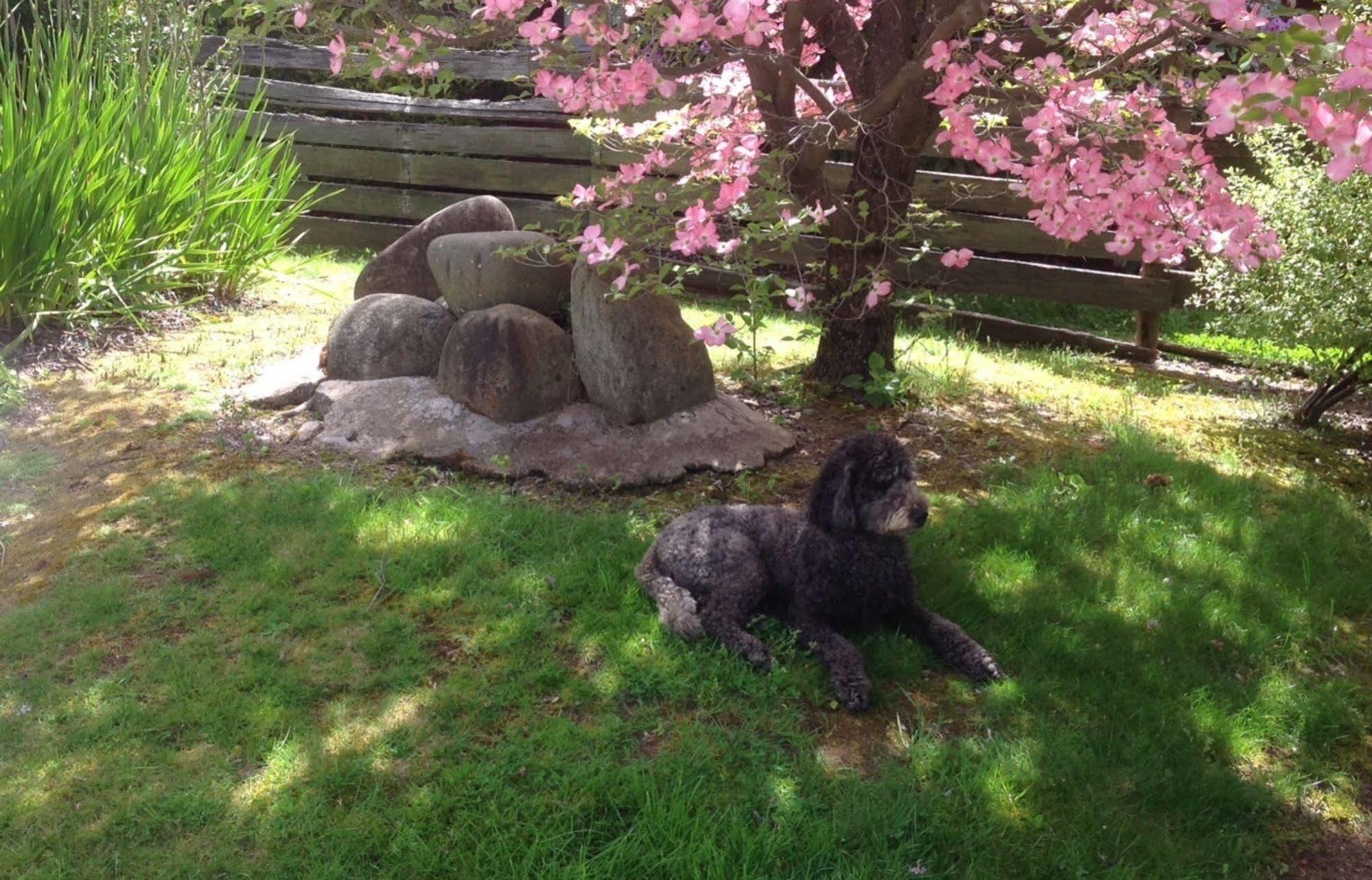 Bogong Moth Motel Mount Beauty Bagian luar foto